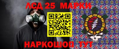 Альфа ПВП Малгобек
