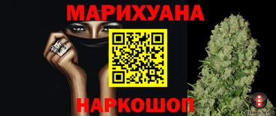 Альфа ПВП Малгобек