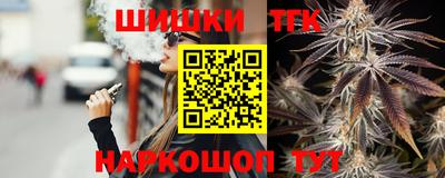 Альфа ПВП Малгобек